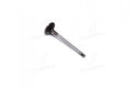 INTAKE VALVE