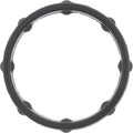 Engine Oil Cooler Gasket - 71-16267-00