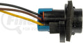 SOCKET F/R STP TAIL TURN
