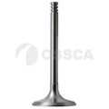 INTAKE VALVE