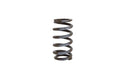 SPRING, EXHAUST VALVE