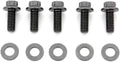 ARP 1/4 in.-20 RH Thread, 1.250 in Hex Head Custom 450 Bolts - Set of 5