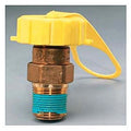 LP TANK VALVE CAP & STRAP