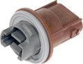 TURN SIGNAL SOCKET