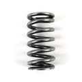 Valve Spring