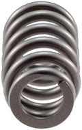 Valve Spring