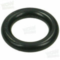 #12 O-Ring Boss Plug