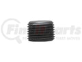 Transfer Case Oil Drain Plug