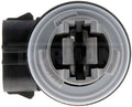 LAMP SOCKET