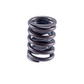 Valve Spring
