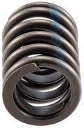 Valve Spring