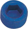 1in Pipe Plug (Allen)