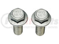 CALIPER BRACKET BOLT