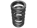 SEALED POWER springs detail
