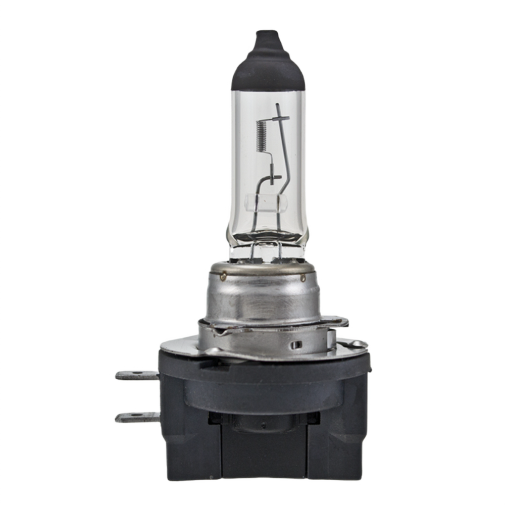 BULB H11B 12V 55W PGJY19-2