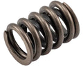 Valve Spring