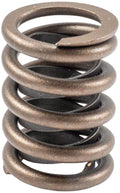 Valve Spring