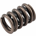 Valve Spring