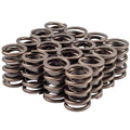 Valve Spring
