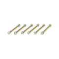 Tri-Y Collector Bolts (6 pack)