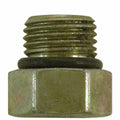 PLUG W/HOLE HEX HEAD AS