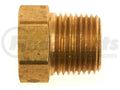 BRASS ADAPTER