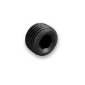 3/4in Pipe Plug