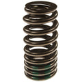 Valve Spring