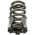 Valve Spring