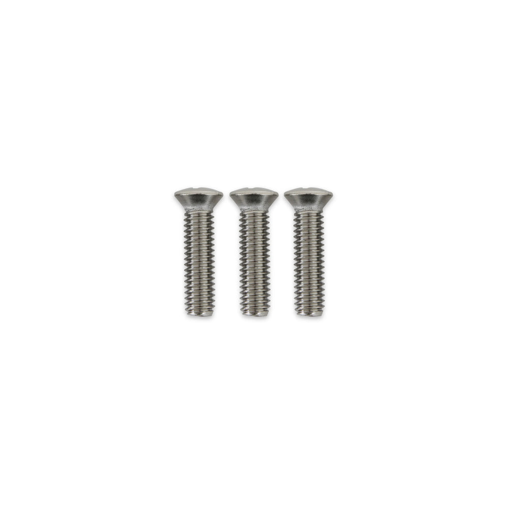 55-69 OUTSIDE MIRROR ARM SCREWS
