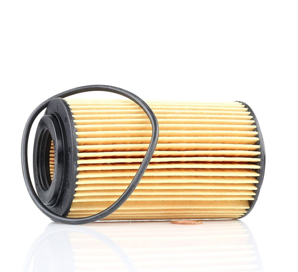MAHLE FILTERS