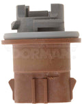 LAMP SOCKET