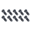 LIPPERT BRAKE MOUNTING BOLT - 4,400
