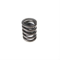 Valve Spring