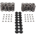 Valve Spring