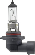 Hella Bulb H10/9145 12V 45W Py20D T4 (2)