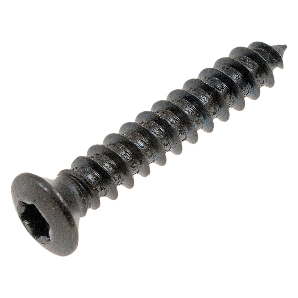 SCRW TORQ HEAD M4.2X25MM