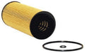 OIL FILTER MIN ORDER QTY12