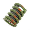 Valve Spring