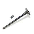 VALVE KIT, INTAKE