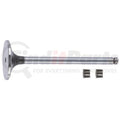 VALVE KIT, INTAKE