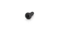 M6 X 20 PAN HEAD T30 SCREW BLK (BP