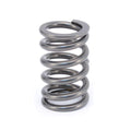 COMP Cams Valve Spring 0.960in Inner Re