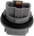 HEADLAMP AND TURN SIGNAL SOCKET