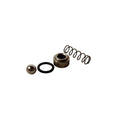 KIT: PUMP CHECK VALVE PLOWS AND ACCESSORIES