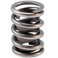 Valve Spring