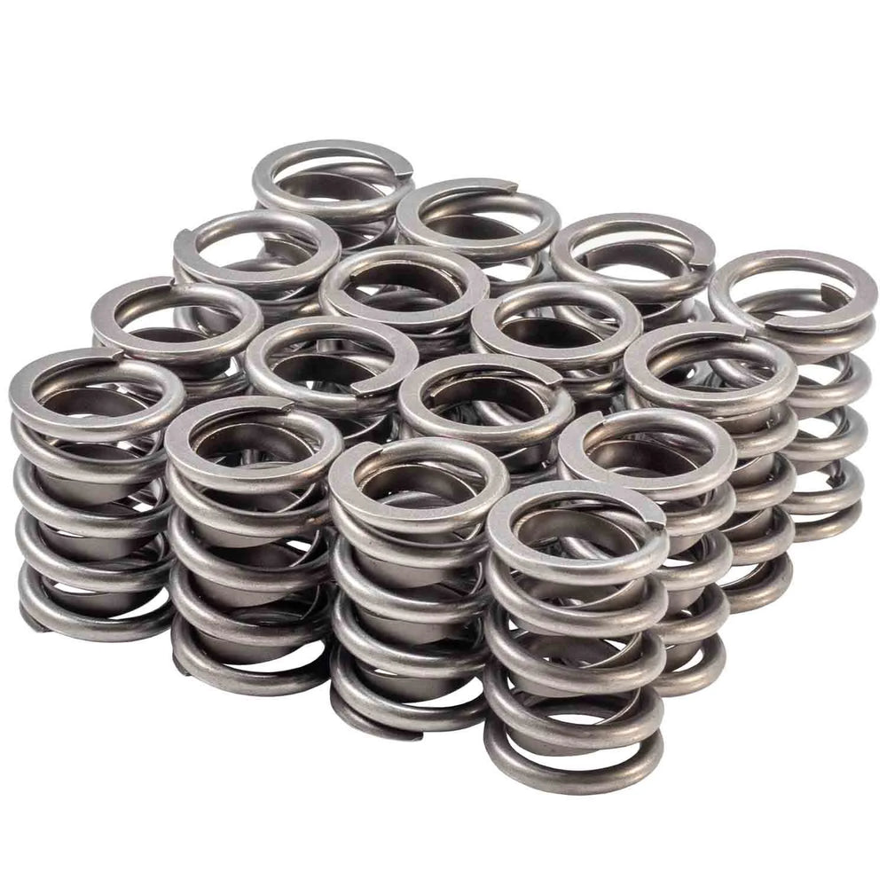 Valve Spring