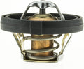 MOTORAD auto part detail