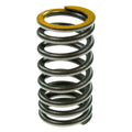Valve Spring
