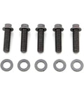ARP 1/4 in.-28 RH Thread, 0.750 in 12 Point Bolts- Set of 5